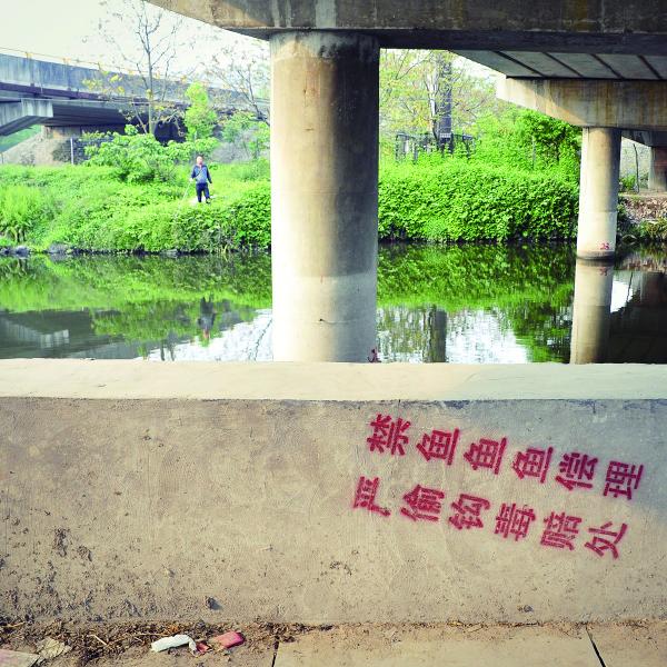 茶山高教園高速路橋下在一組禁釣標(biāo)語(yǔ)前一人在悠哉的釣魚(yú);“嚴(yán)禁”二字,禁得了什么?.JPG 茶山高教園高速路橋下在一組禁釣標(biāo)語(yǔ)前一人在悠哉的釣魚(yú);“嚴(yán)禁”二字,禁得了什么?.JPG